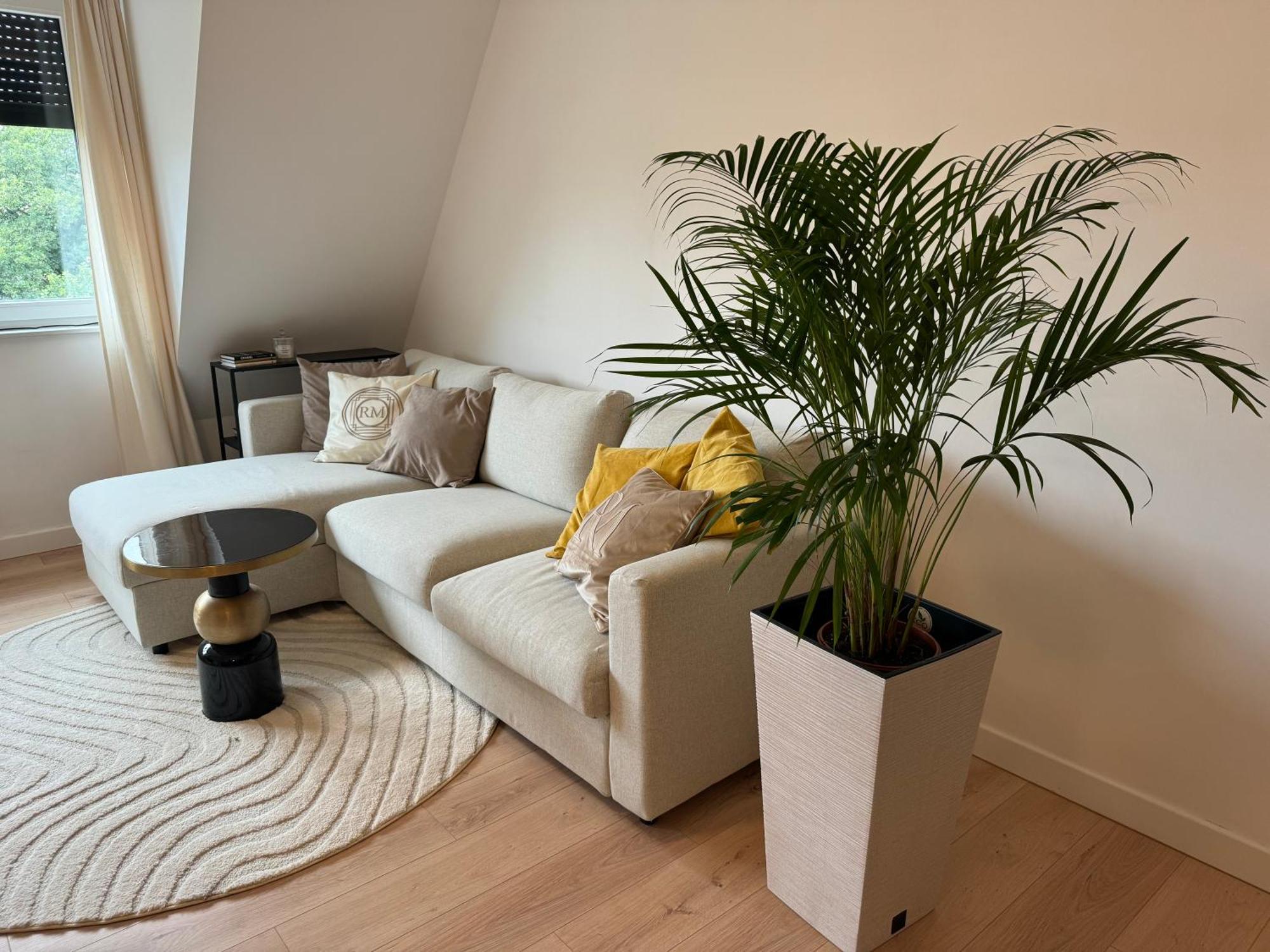 Moon Apartment Stary Toruń 外观 照片
