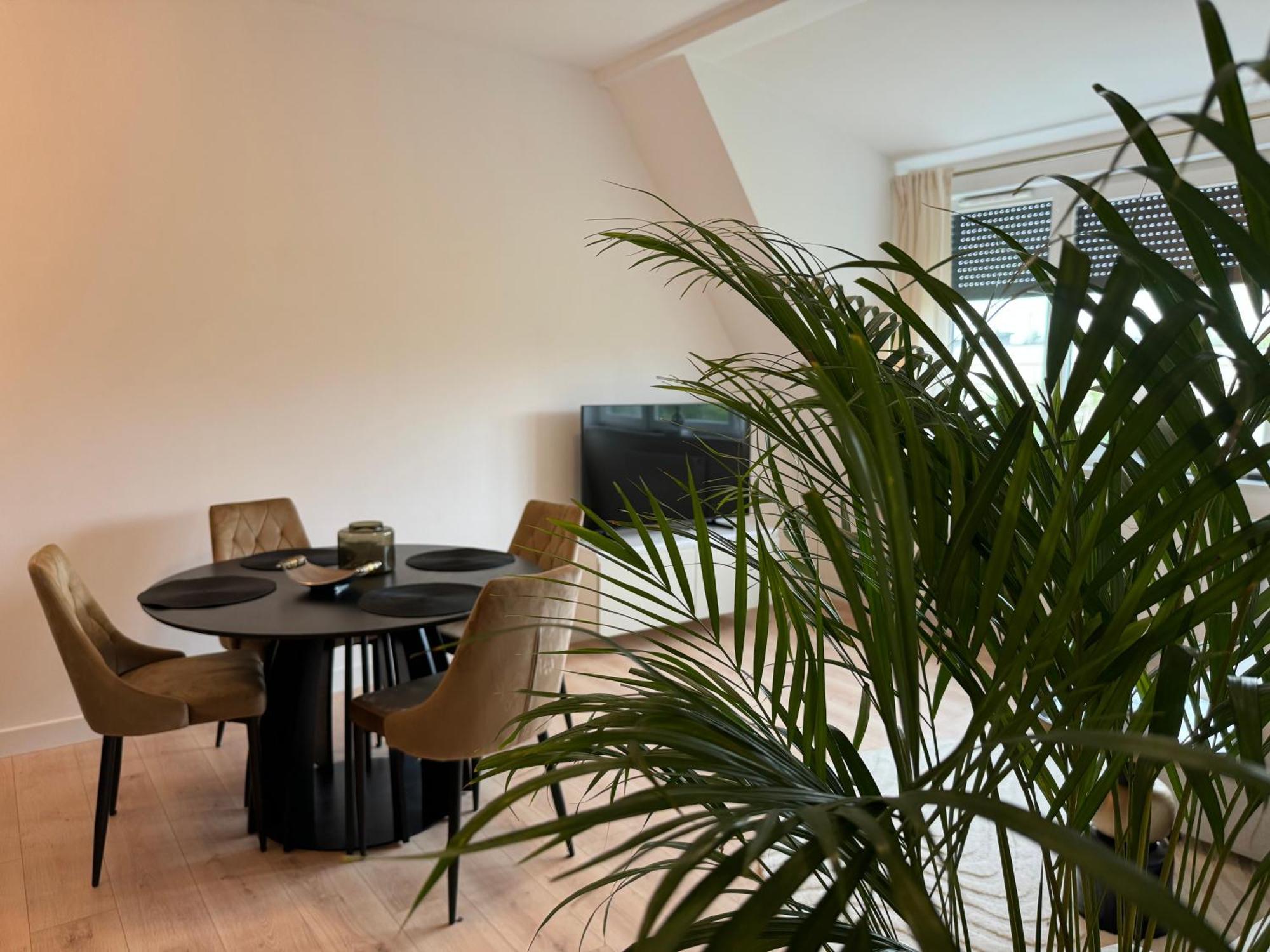 Moon Apartment Stary Toruń 外观 照片